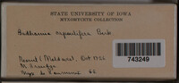 Image Associated With the Occurrence